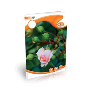 Atlas A4 - cr book 120pgs - single ruled