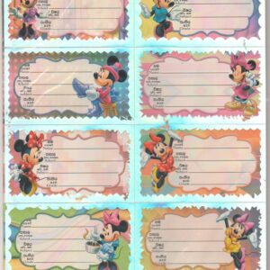 Name Stickers -MOD 2 - 10 Cards